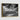 cool black and white tropical art piece in a gold frame