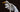 How Does Bird Art Help Us Reconnect to Ourselves?