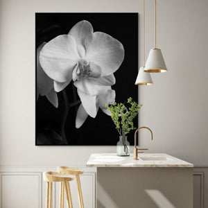 Black & White Art