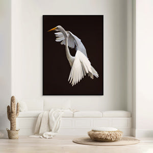 Bird Art
