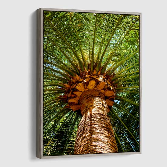 palm plant painting Palm Tree Canvas Art - Emerald Lattice