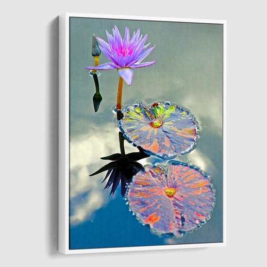 white lily wall art Water Lily Canvas Wall Art: Mirrored Heavens by Behr PhotoArt